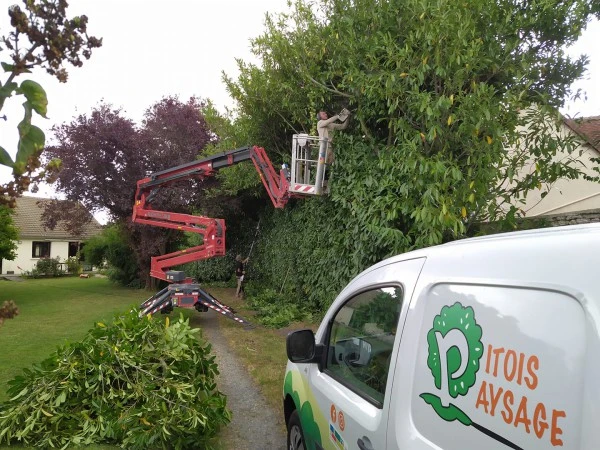 Entretien espaces verts