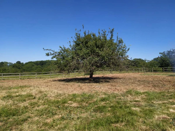 F254D76A-E9BB-4BCD-8B4F-F8D29EB614A6