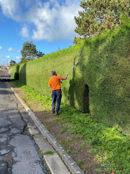 Entretien de jardin Villers-sur-Mer