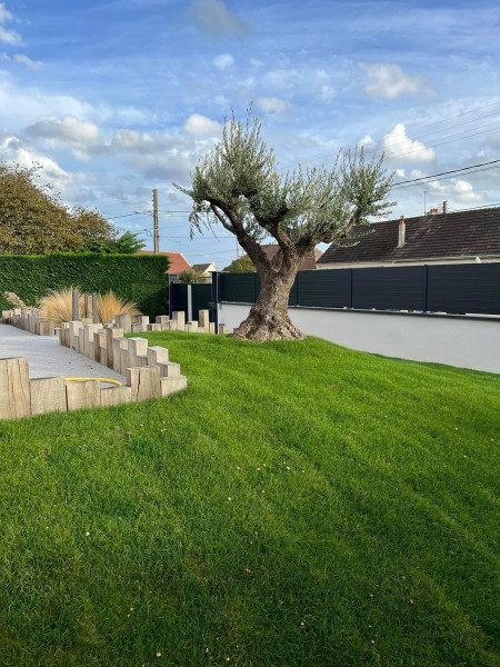 Plantation d'arbuste Mathieu
