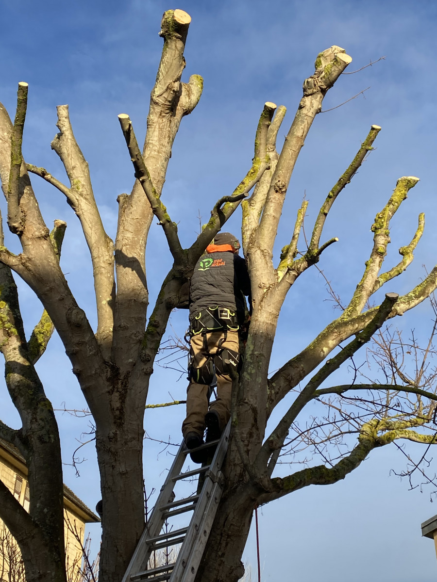Entretien de jardin